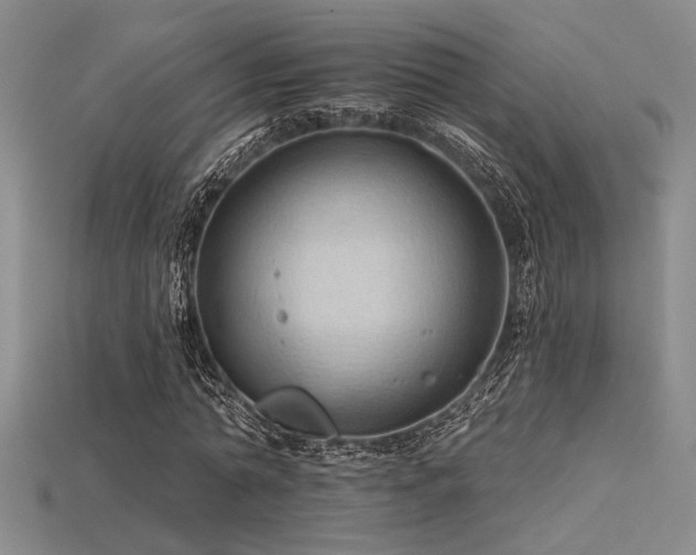 X0000115790774200911131307