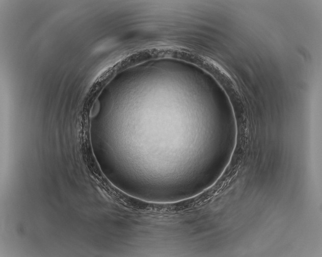 X0000115790775200911131307