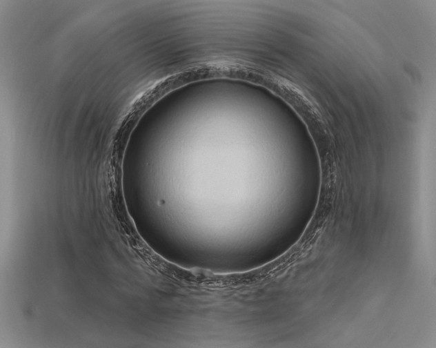 X0000115790776200911131307