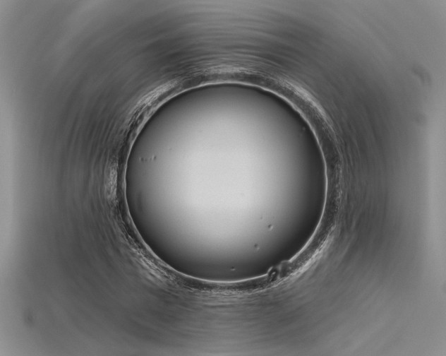 X0000115790777200911131307