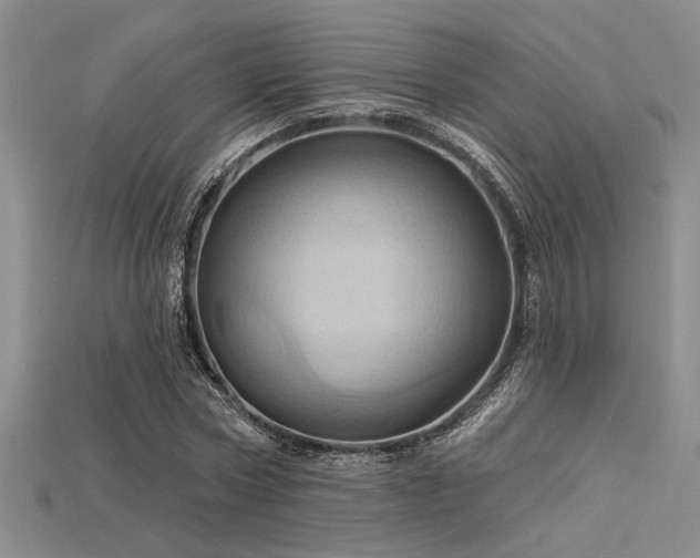 X0000115790778200911131307