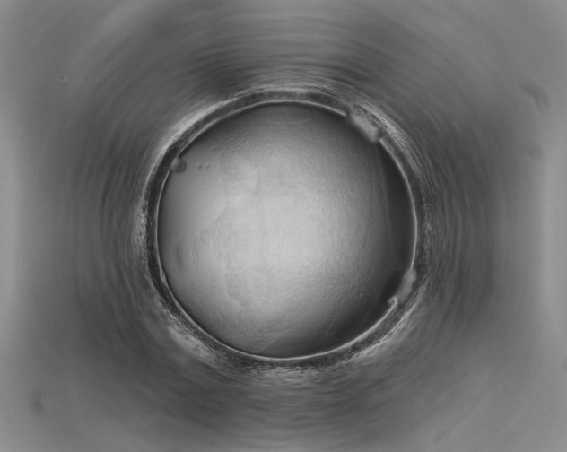 X0000115790779200911131307