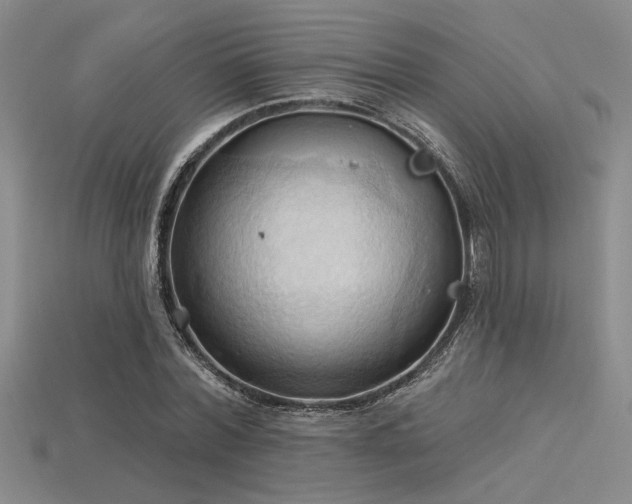 X0000115790780200911131307