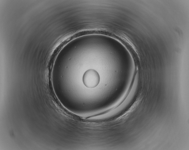 X0000115790781200911131307