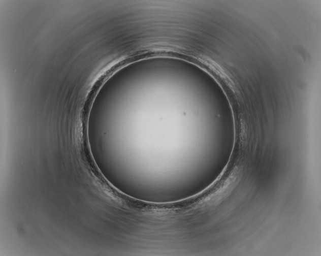 X0000115790782200911131307