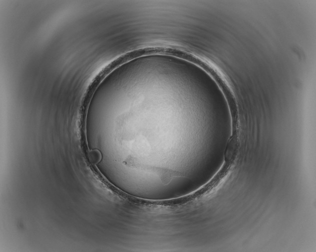 X0000115790783200911131307