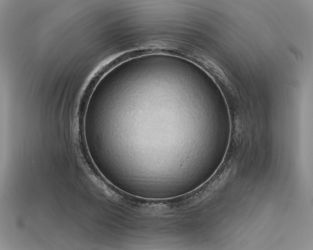 X0000115790784200911131307