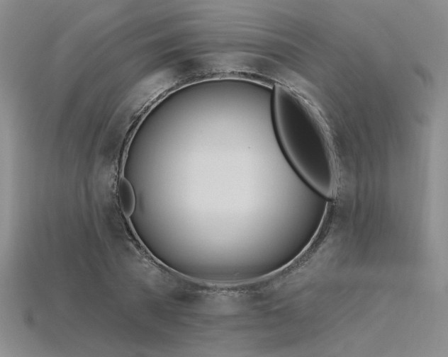 X0000115790785200911131307