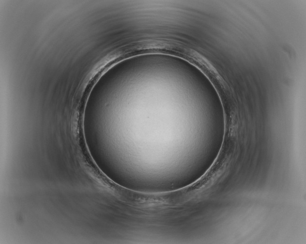 X0000115790786200911131307