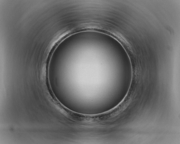 X0000115790790200911131307