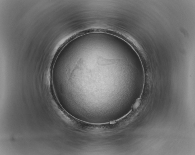 X0000115790791200911131307