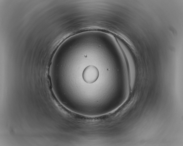 X0000115790793200911131307