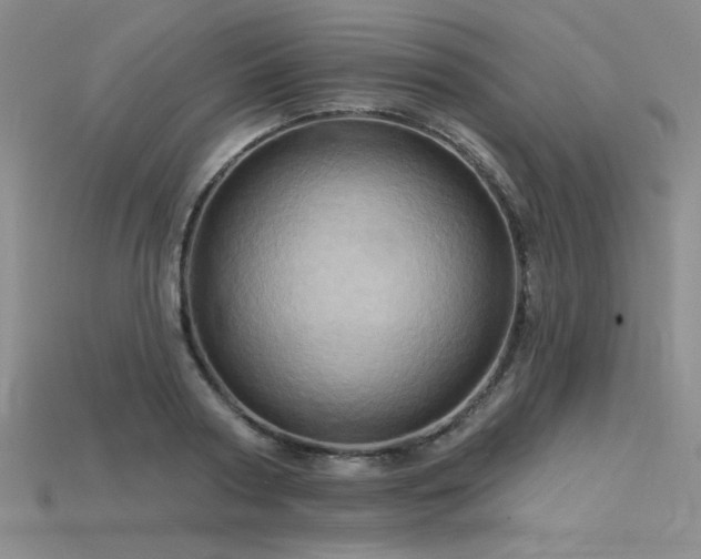 X0000115790794200911131307