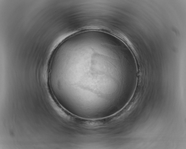 X0000115790795200911131307