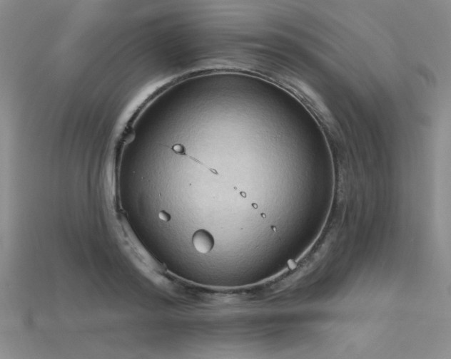 X0000115790796200911131307