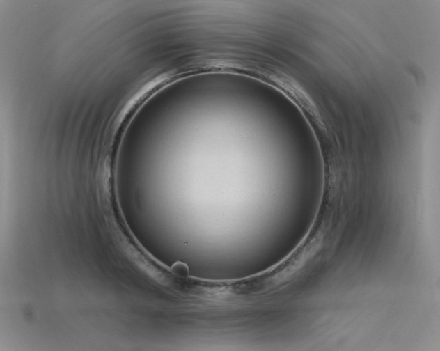 X0000115790798200911131307