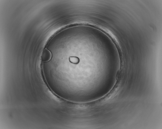 X0000115790799200911131307