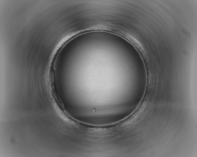 X0000115790800200911131307