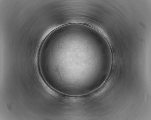 X0000115790803200911131307