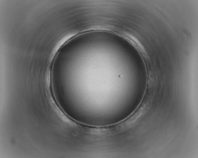 X0000115790804200911131307