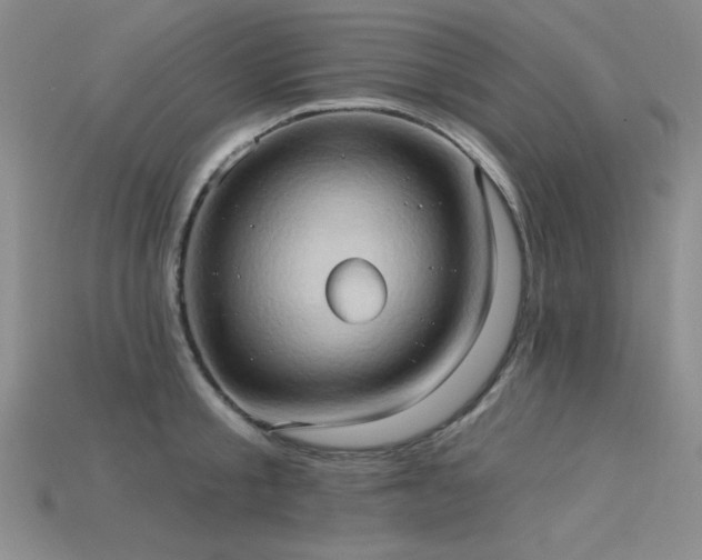 X0000115790805200911131307