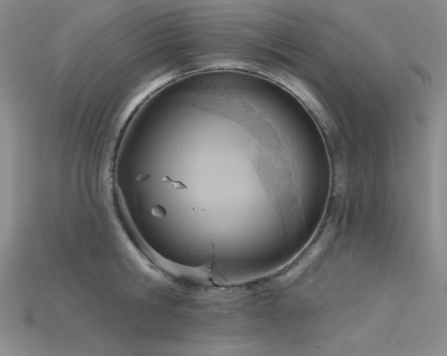 X0000115790806200911131307