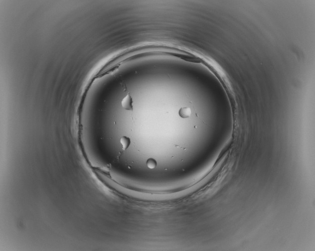 X0000115790807200911131307