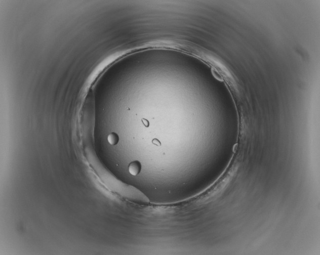 X0000115790808200911131307