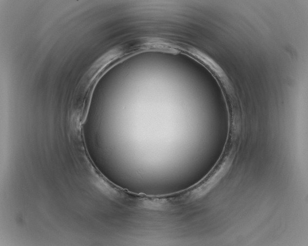 X0000115790809200911131307