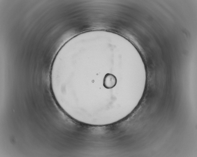 X0000115790810200911131307