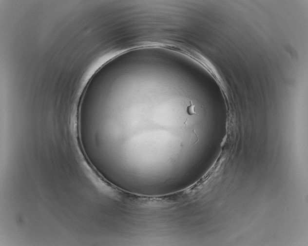 X0000115790811200911131307