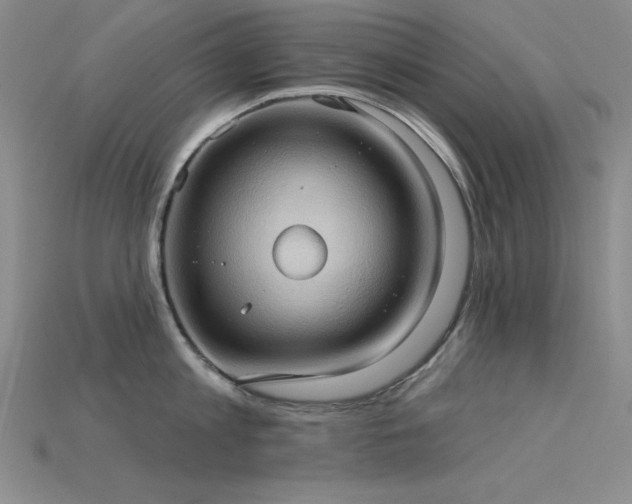 X0000115790813200911131307