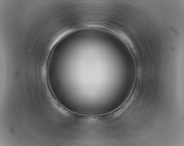 X0000115790814200911131307