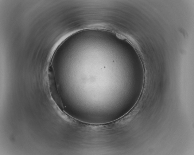 X0000115790816200911131307