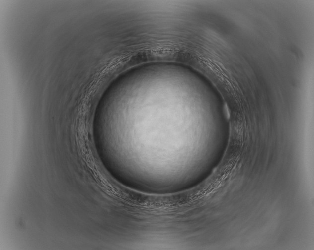 X0000115790817200911131306