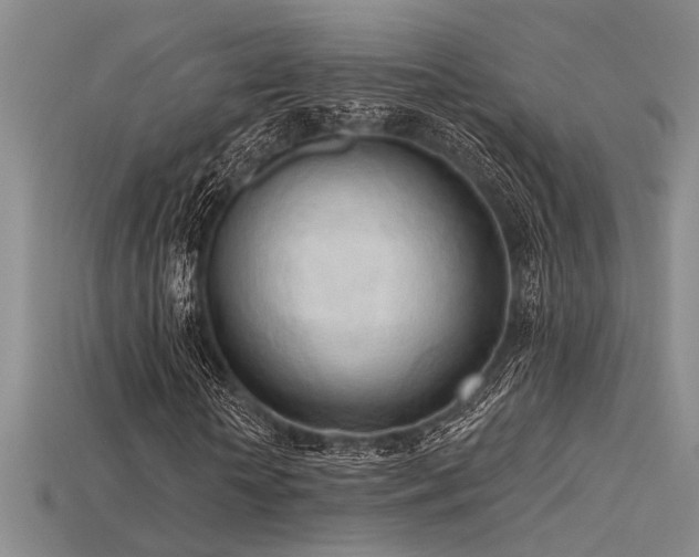 X0000115790818200911131306