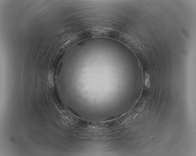 X0000115790819200911131306