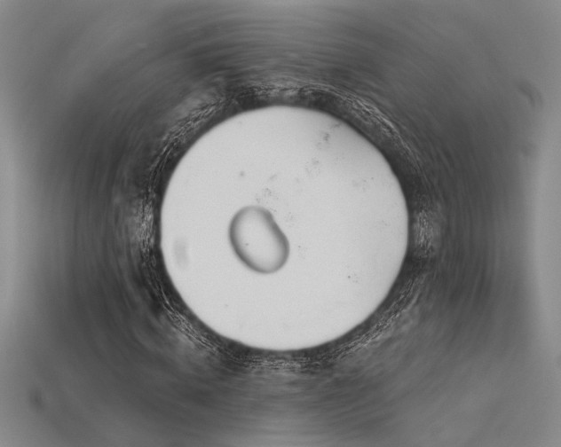 X0000115790820200911131306