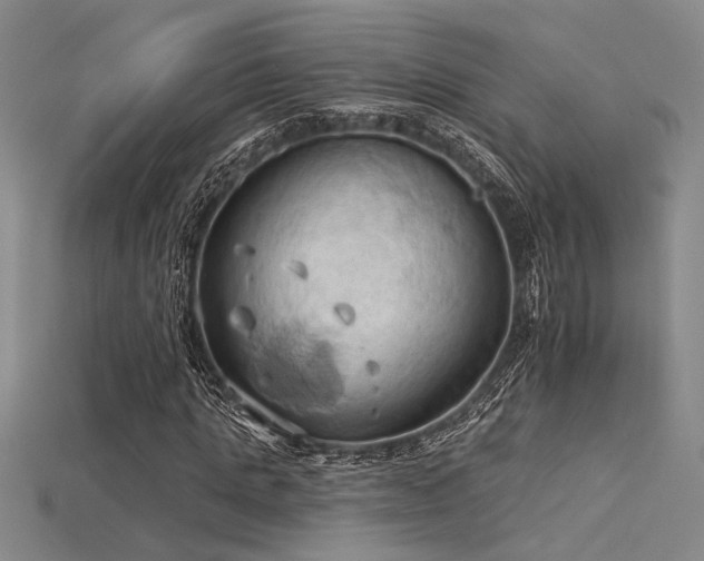 X0000115790821200911131306