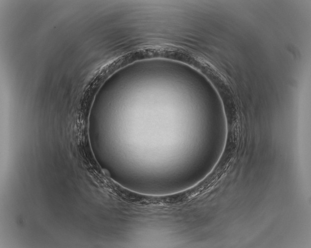 X0000115790822200911131306