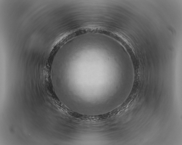 X0000115790823200911131306