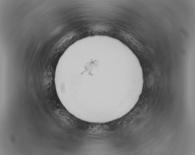 X0000115790824200911131306