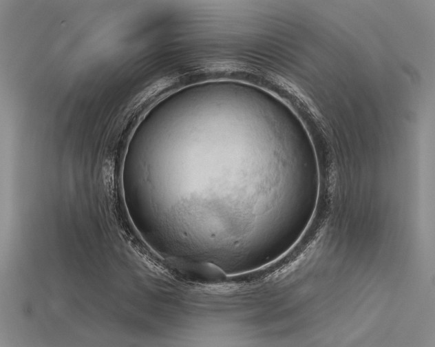 X0000115790825200911131306