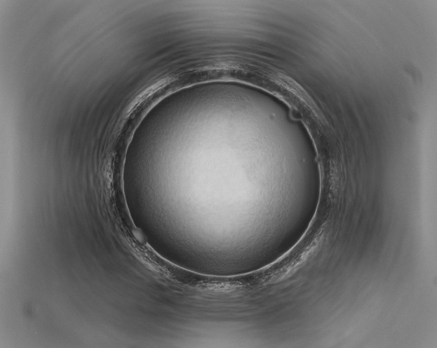 X0000115790826200911131306