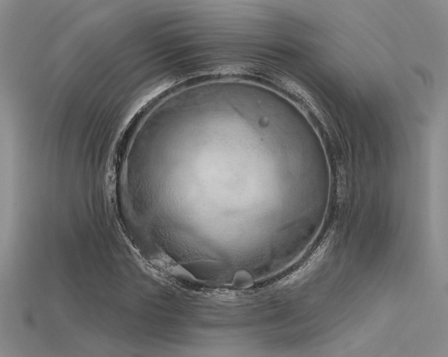 X0000115790827200911131306