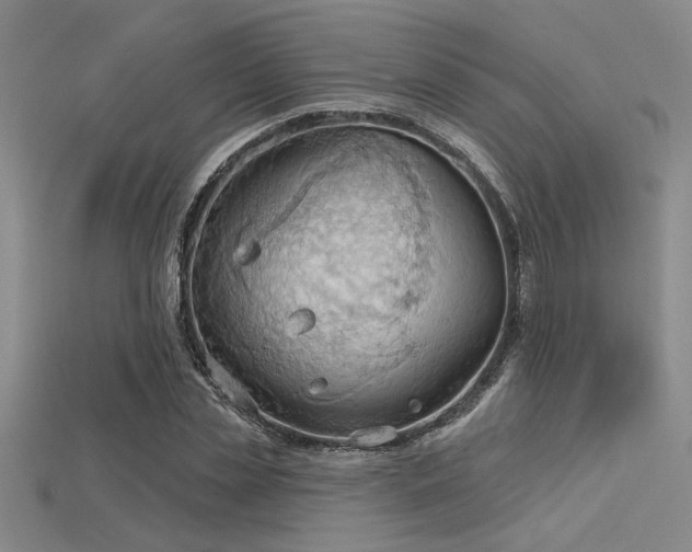 X0000115790829200911131306