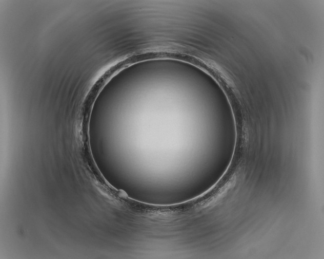 X0000115790830200911131306