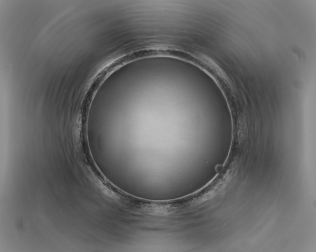 X0000115790831200911131306