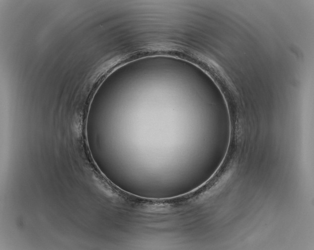 X0000115790833200911131306