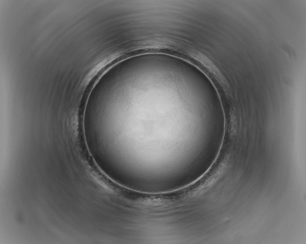 X0000115790834200911131306